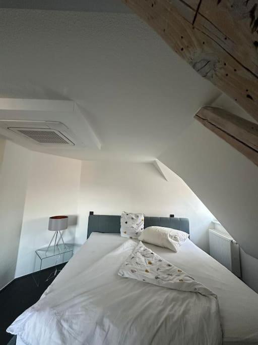 Panorama Penthouse In Wunderschoener Villa Kassel Dış mekan fotoğraf